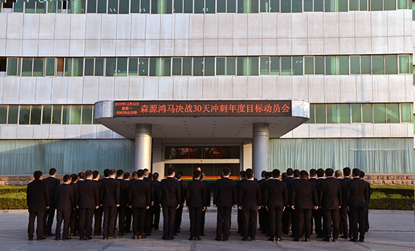 森源鸿马召开决战30天暨冲刺年度目标动员会