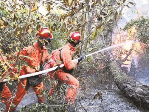 深圳森林消防队伍驰援佛山森林火灾救援凯旋 深圳森林消防队伍驰援佛山森林火灾救援凯旋